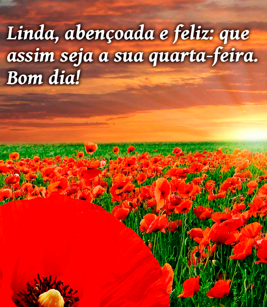 Bom dia quarta-feira linda, abençoada e feliz.