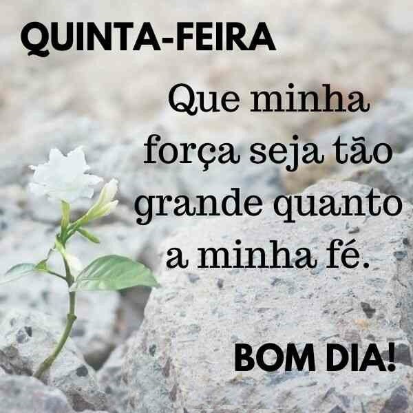 Bom dia quinta-feira minha fé.