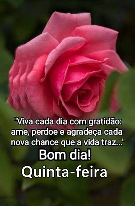 Bom dia quinta-feira viva cada dia com gratidão.