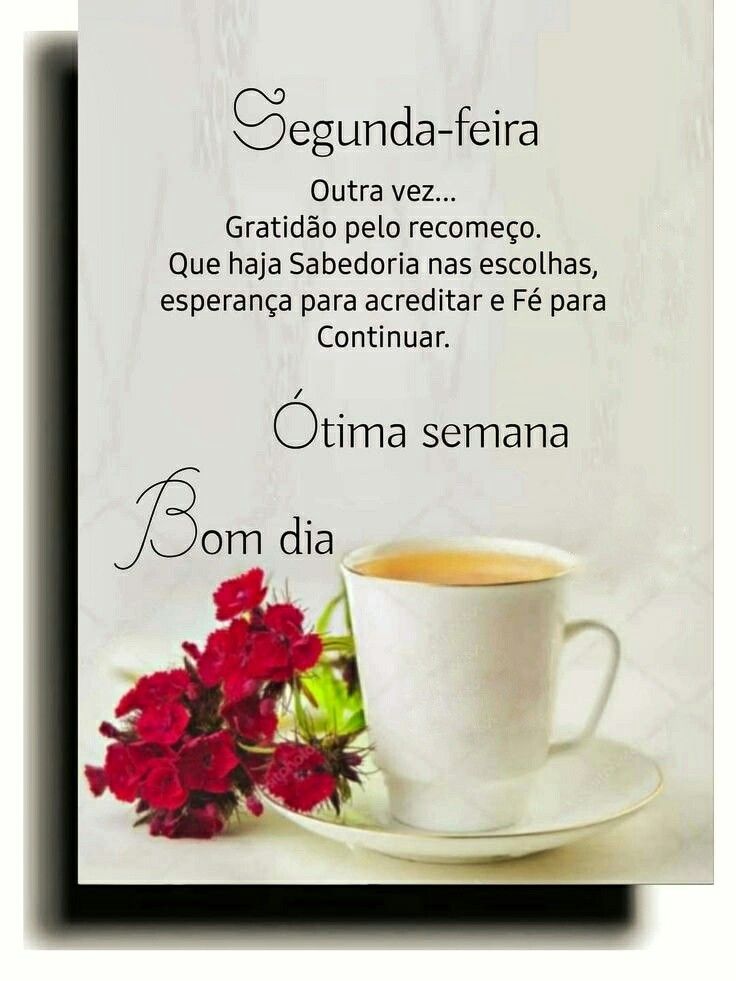 Bom dia segunda-feira gratidão pelo recomeço.