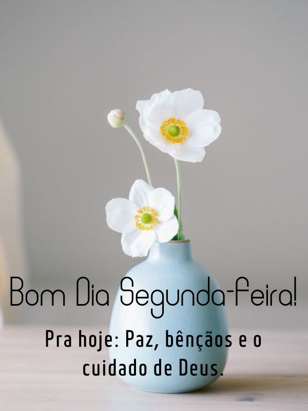 Bom dia segunda- feira abençoada de cuidados divinos