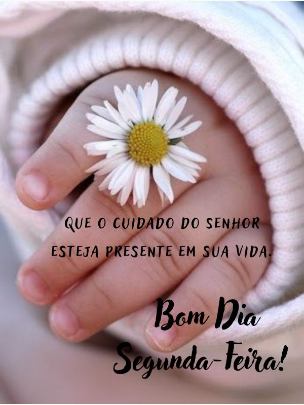 Bom dia segunda- feira presente da vida