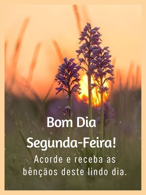 Bom Dia Segunda-Feira linda