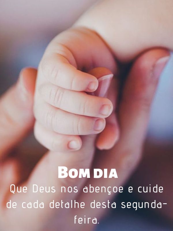 Bom dia segunda- feira abençoada em cada detalhe