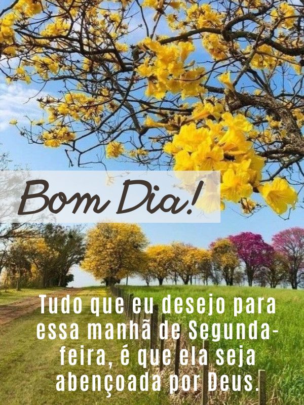 Bom dia segunda-feira abençoada ela manhã