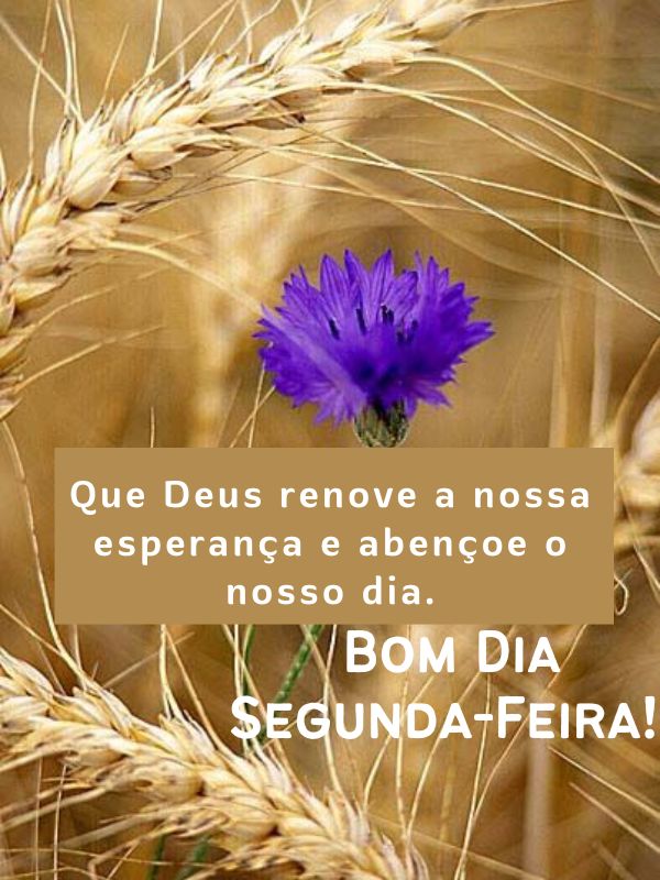 Bom dia segunda-feira abençoada e de esperança