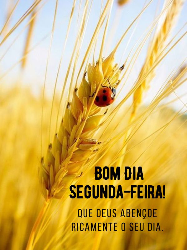 Bom dia segunda-feira abençoada ricamente