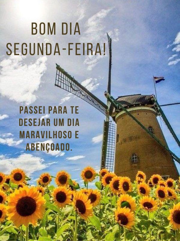 Bom dia segunda-feira abençoada por Deus com flores