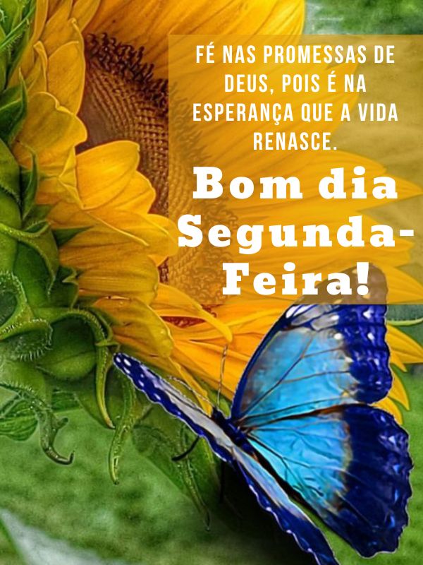 Bom dia segunda-feira abençoada e de esperança