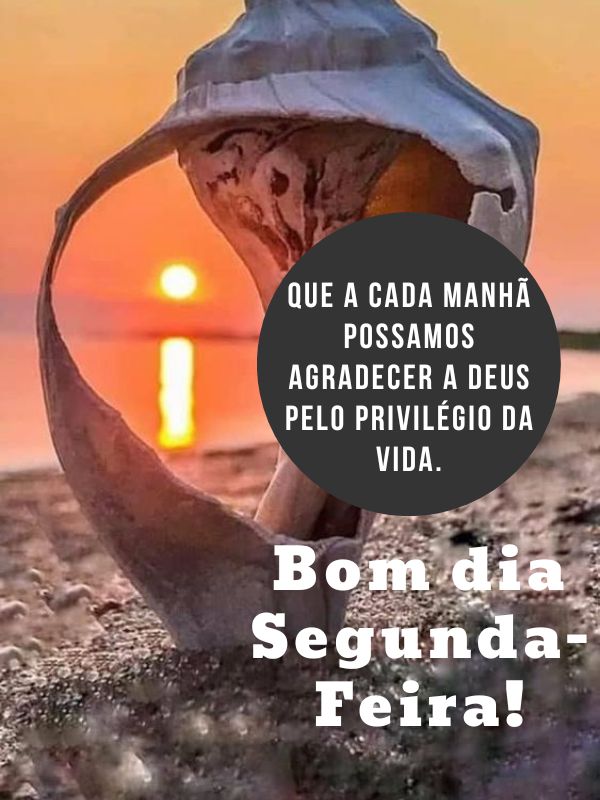 Bom dia segunda-feira abençoada e grata