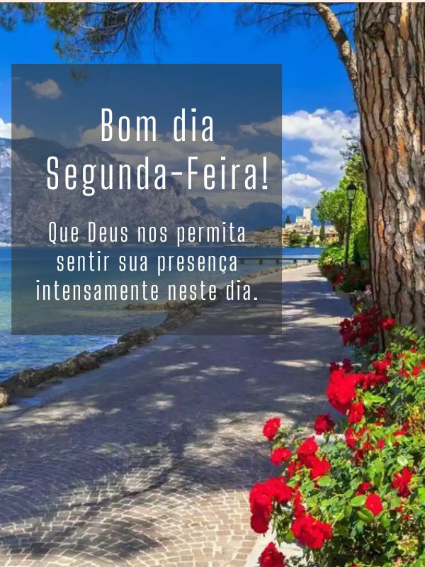 Bom dia segunda-feira abençoada por Deus presente