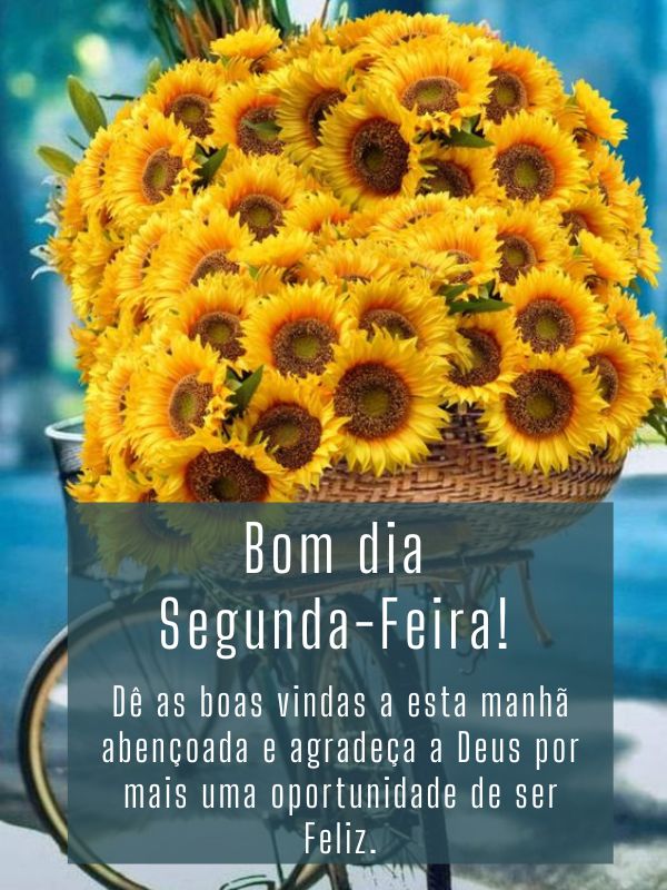 Bom dia segunda-feira abençoada por Deus e oportunidades