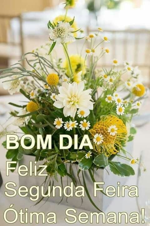 Bom dia feliz segunda-feira e ótima semana.