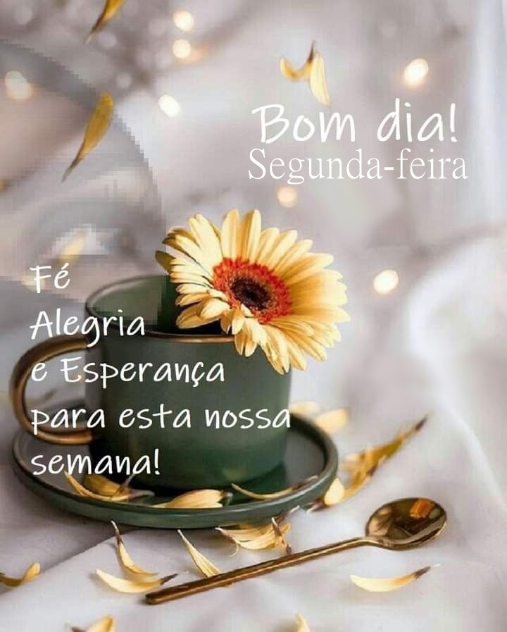 Bom dia segunda-feira de alegria e esperança.