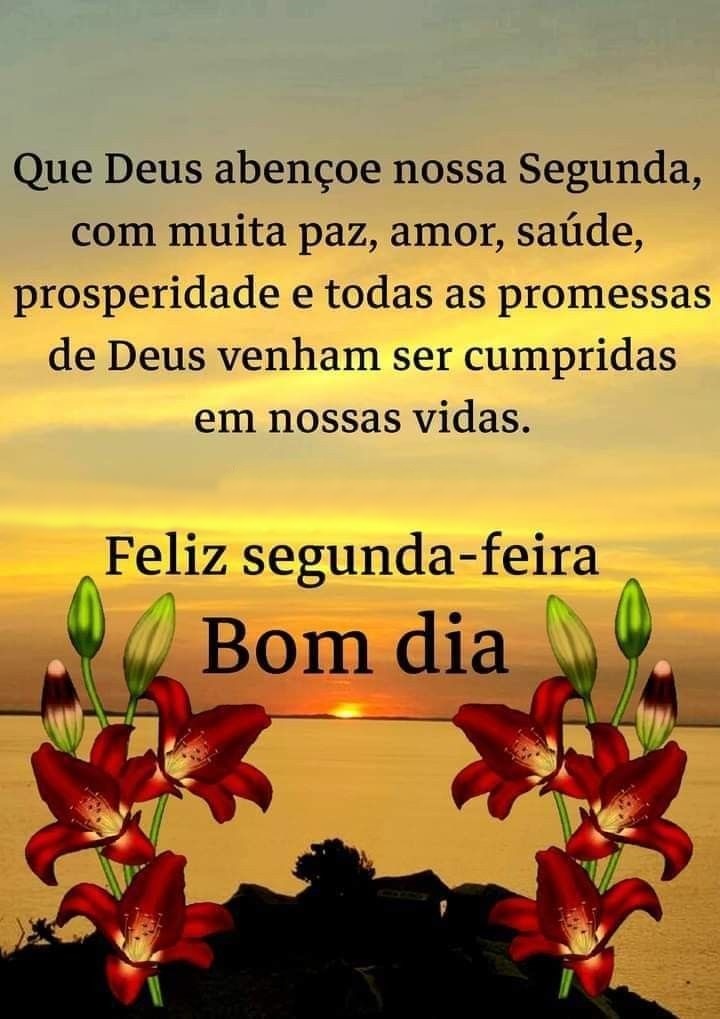 Bom dia segunda-feira com muita paz.