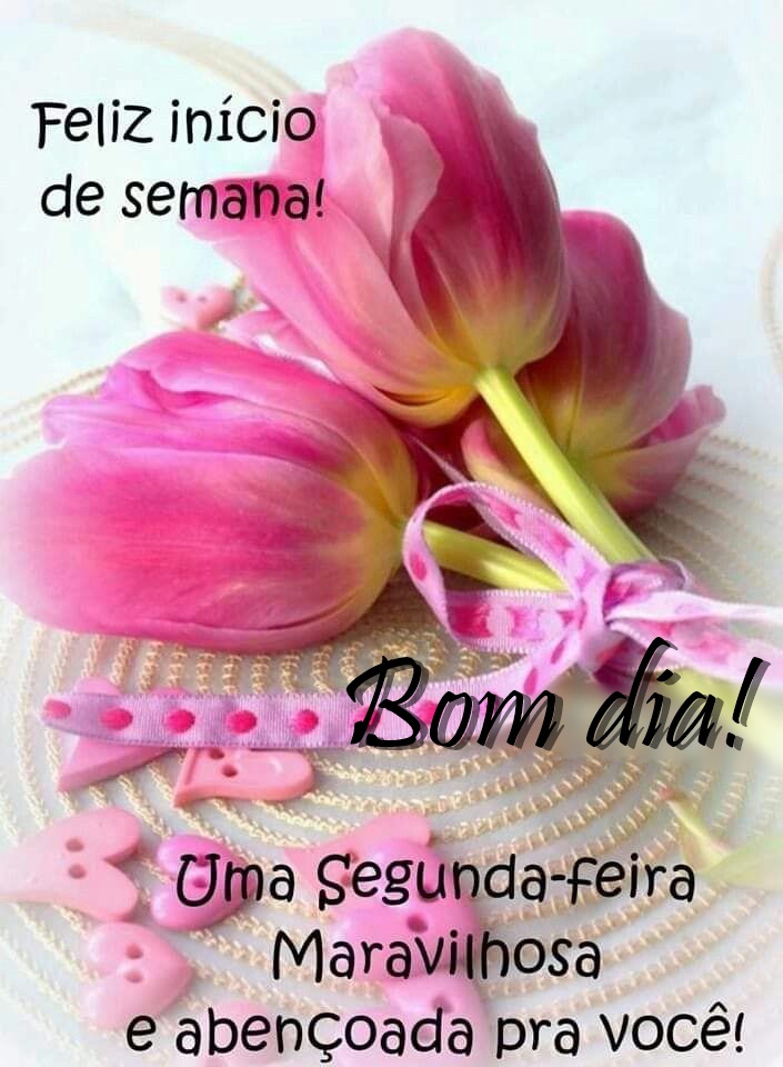 Bom dia segunda-feira maravilhosa.