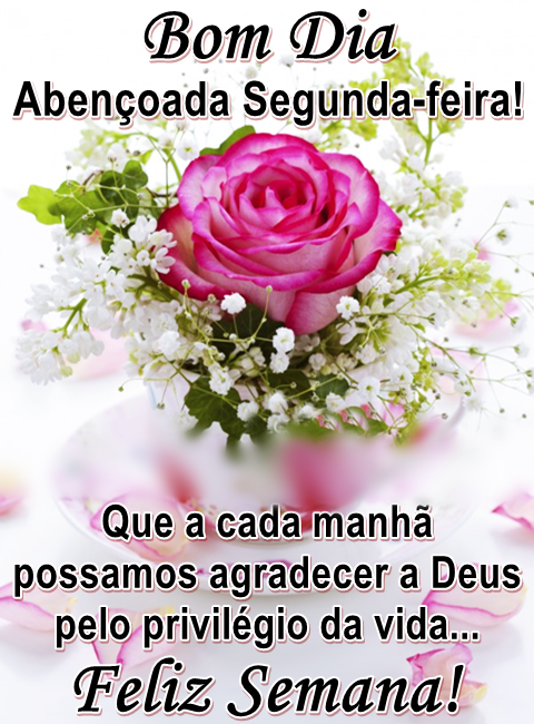 Bom dia segunda-feira agradecer a Deus.