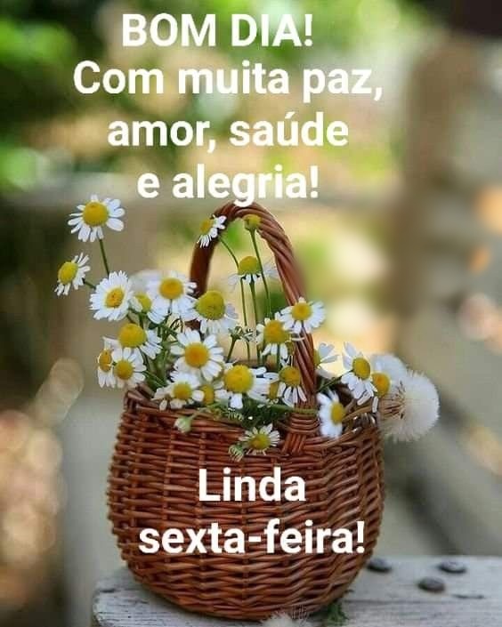 Bom dia linda sexta-feira!