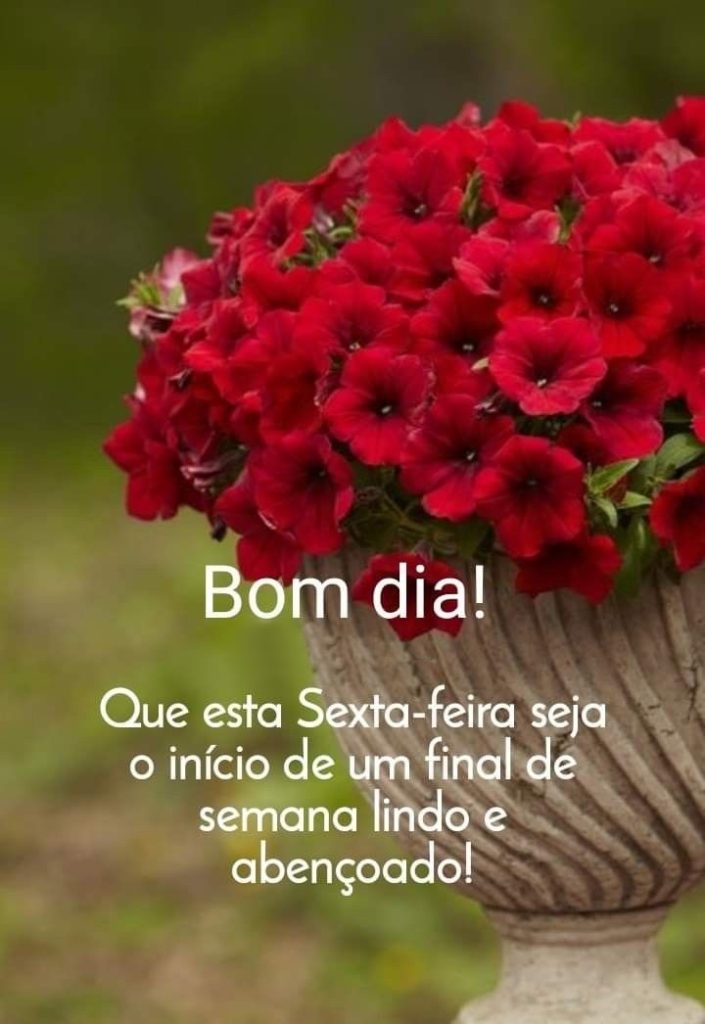 Bom dia sexta-feira início de um final de semana lindo.