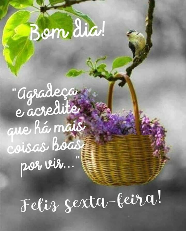 Bom dia sexta-feira agradeça e acredite.