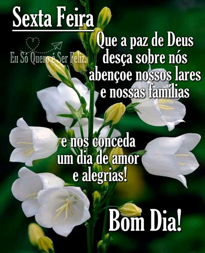 Bom dia sexta-feira um dia de amor e alegrias.