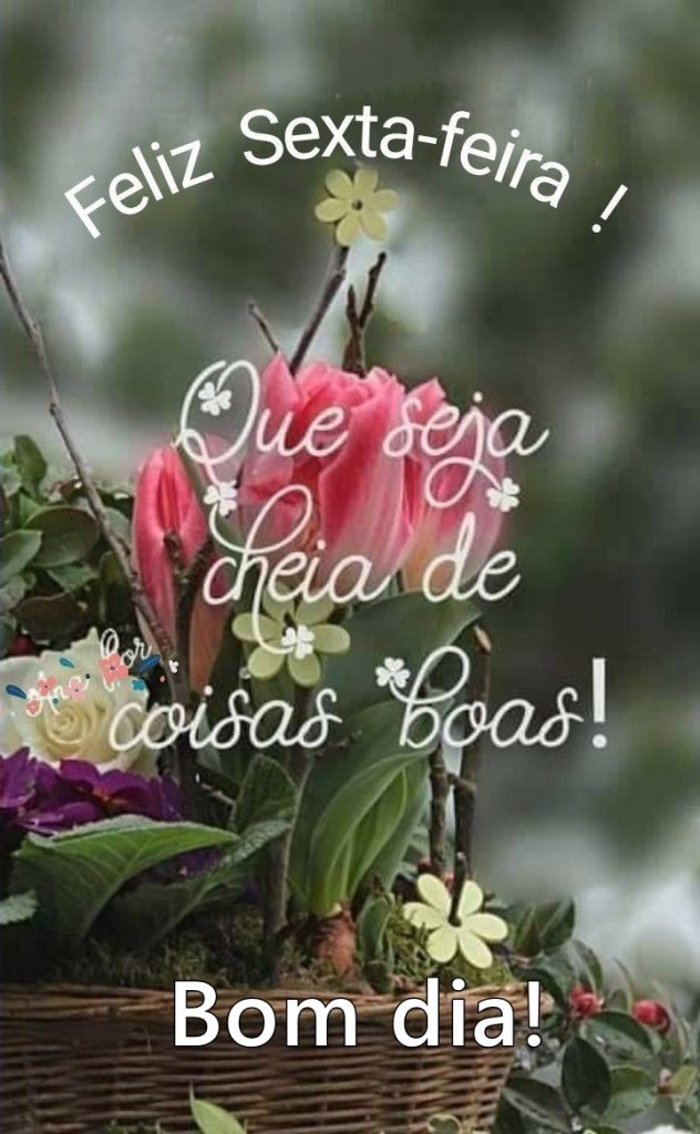 Bom dia sexta-feira cheia de coisas boas.