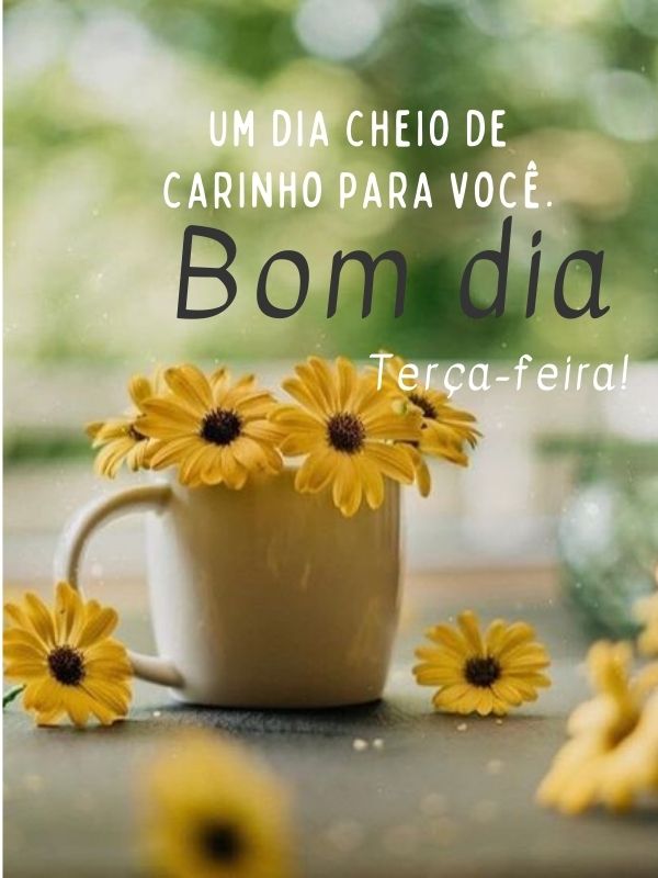 Bom dia terça-feira com flores