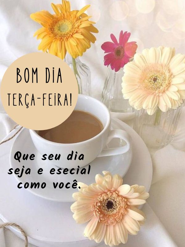 Bom dia terça-feira de carinho especia