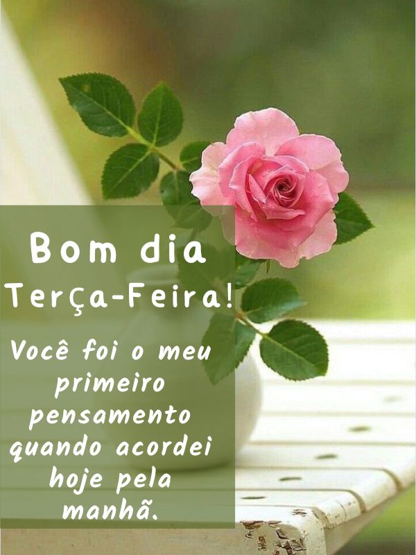 Bom dia terça-feira de flores lindas