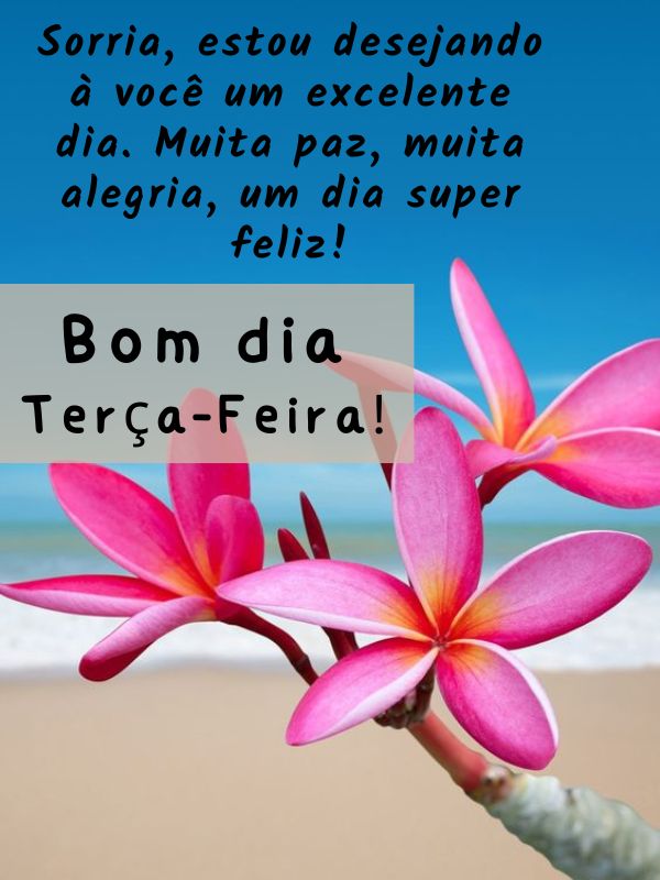 Bom dia terça-feira feliz