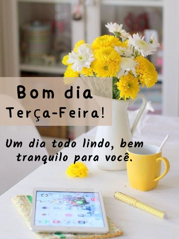 Bom dia terça-feira tranquila e linda