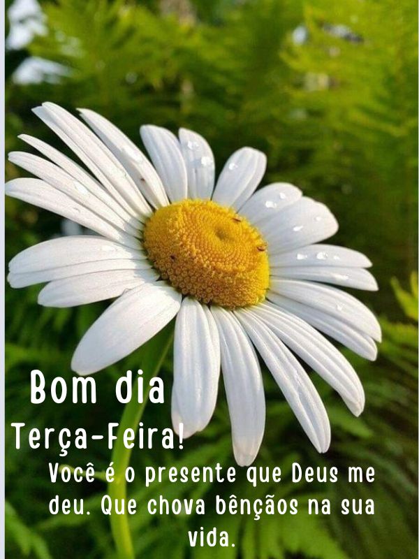 Bom dia terça-feira de bençãos