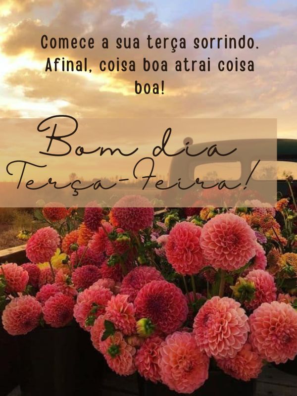 Bom dia terça-feira de coisas boas