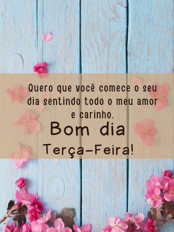 Bom dia terça-feira de amor e carinho