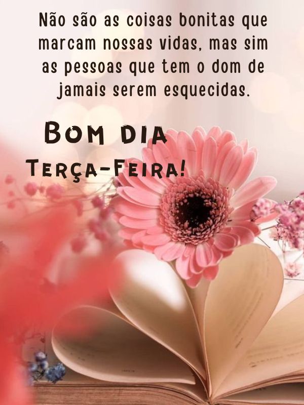 Bom dia terça-feira bela