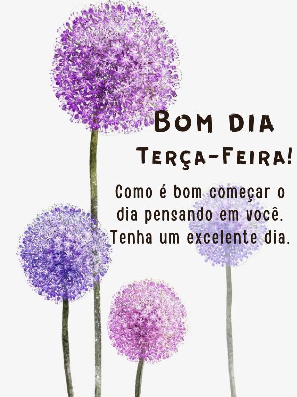 Bom dia terça-feira de carinho para você