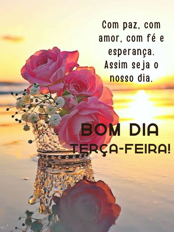 Bom dia terça-feira alegre