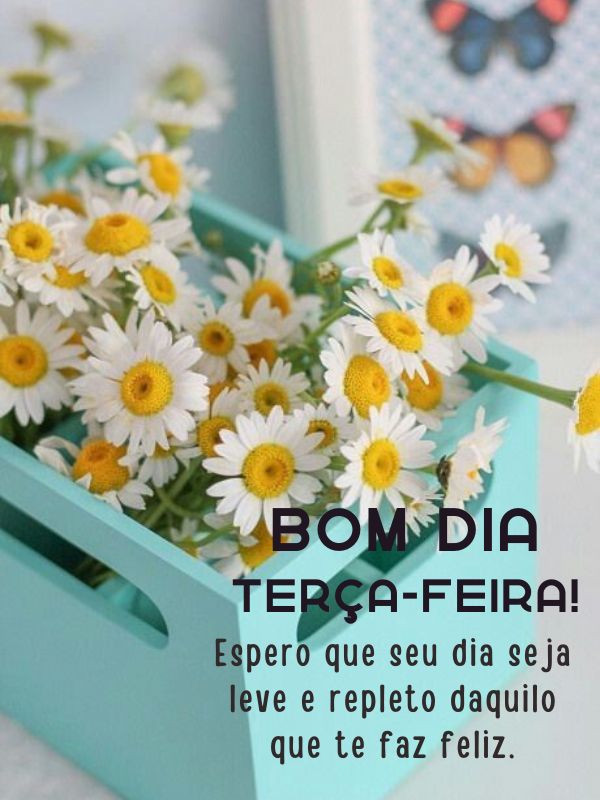 Bom dia terça-feira repleta de carinho