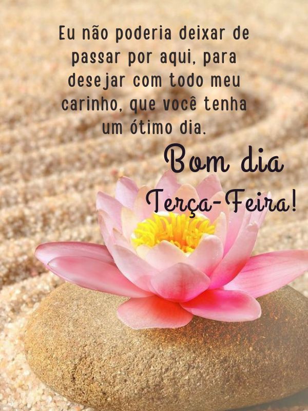 Bom dia e ótima terça-feira de carinho