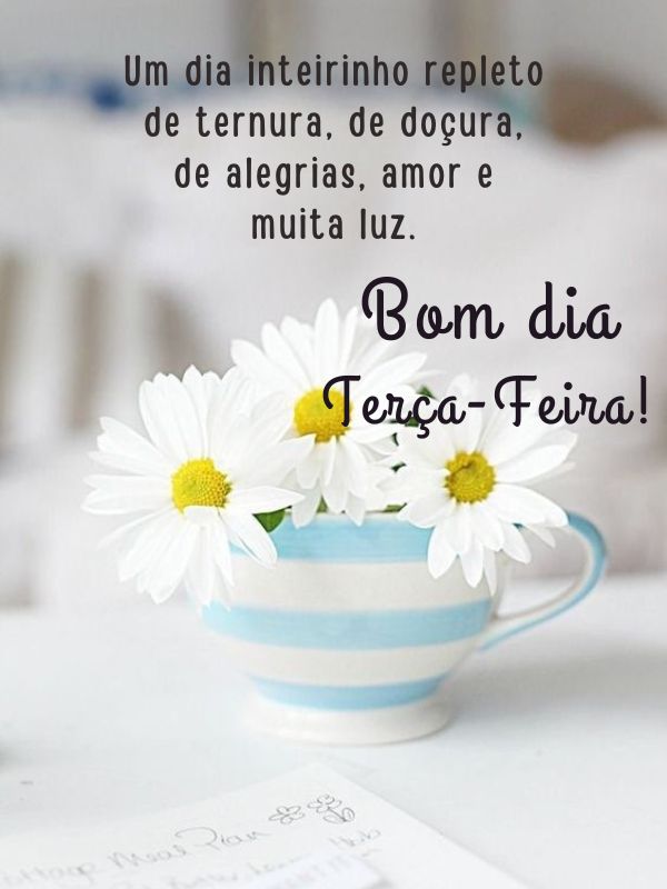 Bom dia terça-feira inteirinha de carinho