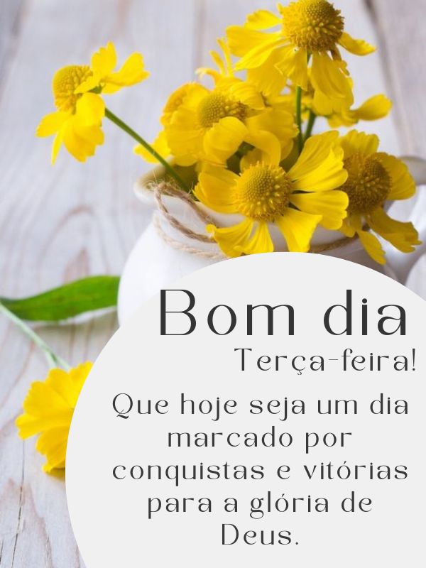 Bom dia terça-feira de flores e conquistas