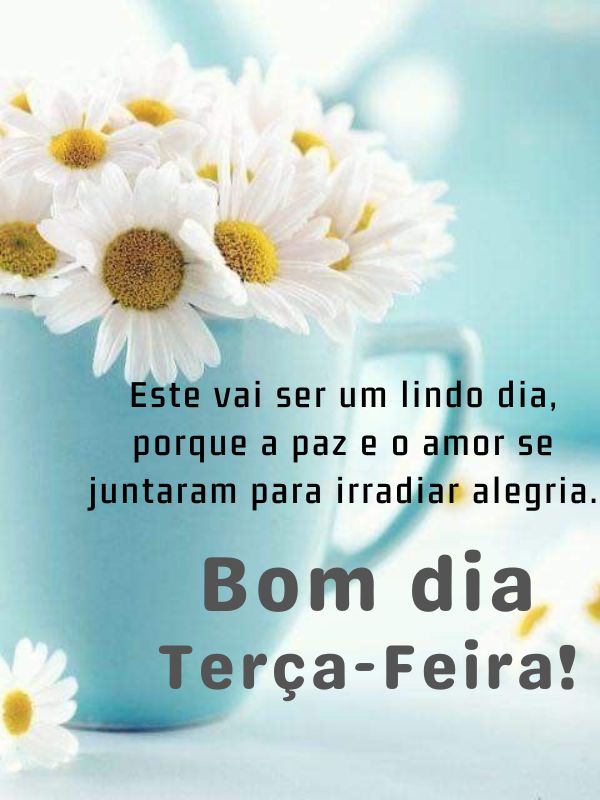 Bom dia terça-feira e lindo dia