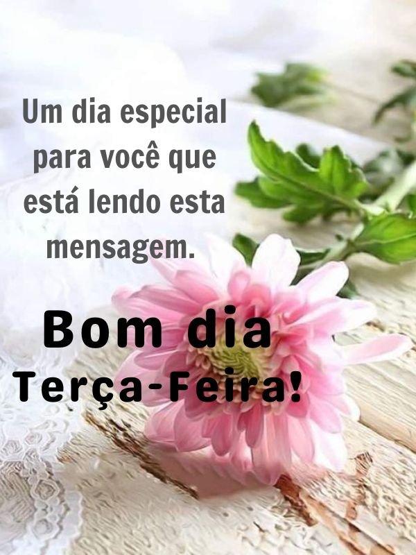 Bom dia terça-feira de carinho especial