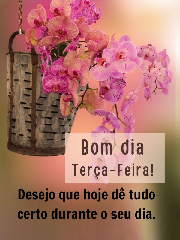 Bom dia terça-feira com momentos felizes