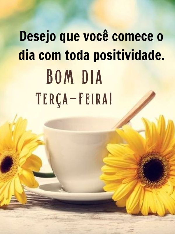 Bom dia terça-feira de carinho e positividade