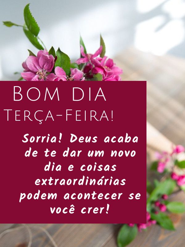 Bom dia terça-feira de carinho e felicidade