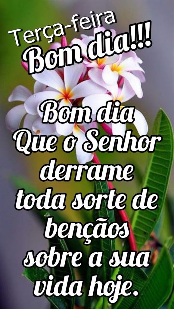 Bom dia terça-feira o Senhor derrame toda sorte.