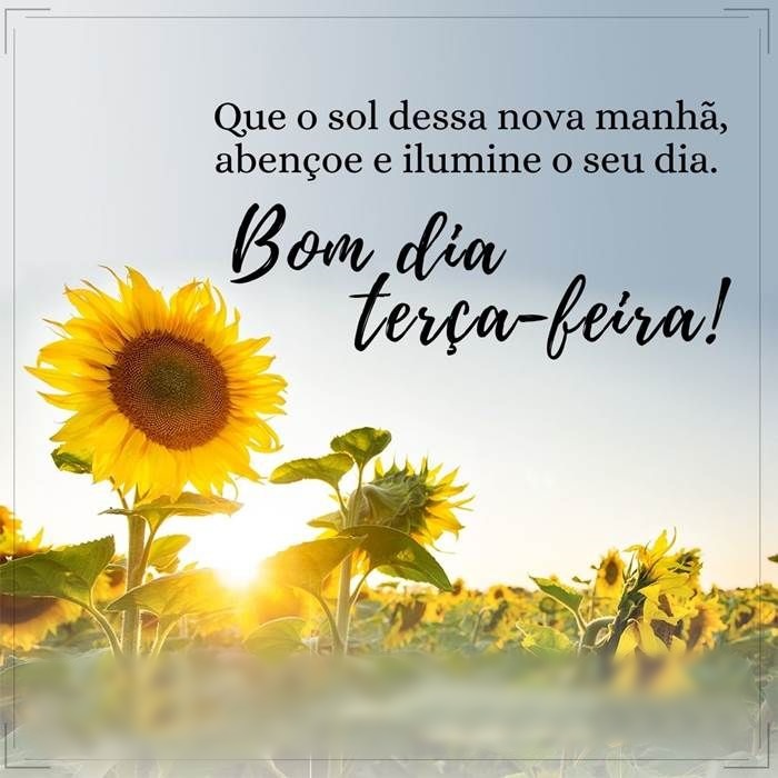 Bom dia terça-feira sol dessa nova manhã.