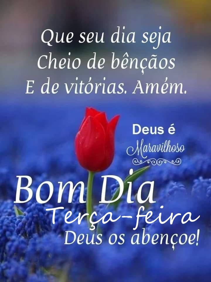 Bom dia terça-feira um dia cheio de bênçãos