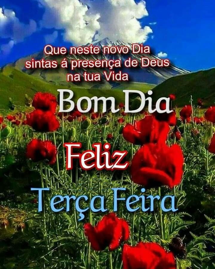 Feliz terça-feira novo dia